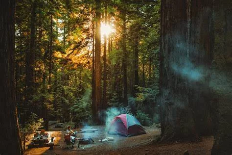 Camping Spot Directory | Find the Best Campsites by Region | TravelXia