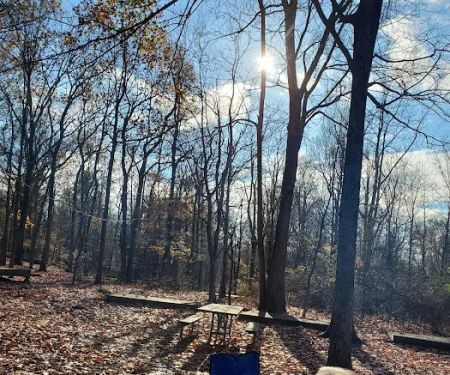 Virginia Site 10