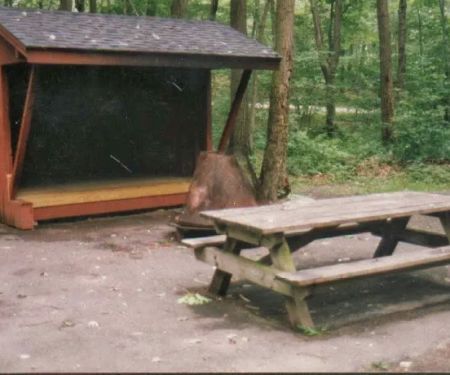 Mahlon Dickerson Campgrounds