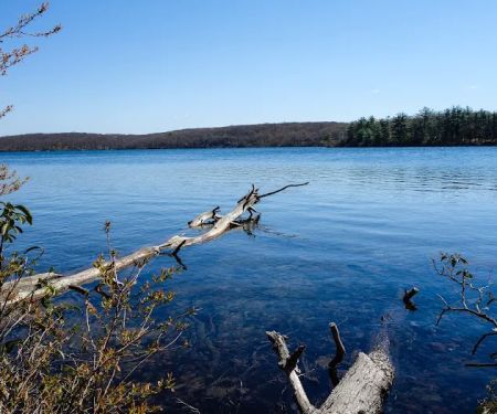 Cedar Pond Campground