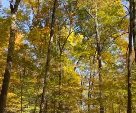 Dingmans Campground