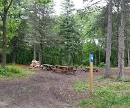 Webb Mountain Campsites 8-11