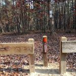 Goshen Pond Camping Area