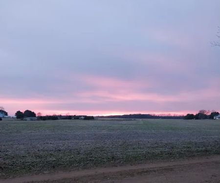 Holly Green Camping Grounds