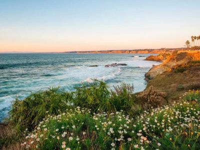 Where Can I Camp Near San Diego – Best Beach, Mountain & Desert Spots